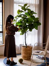 極上の柔らかさ！白鹅绒のペット用ベッド【洗えるカバー・冬用】