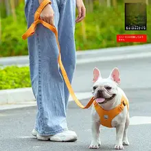 犬用リード 散歩用 中型犬 ゴールデン防脱走