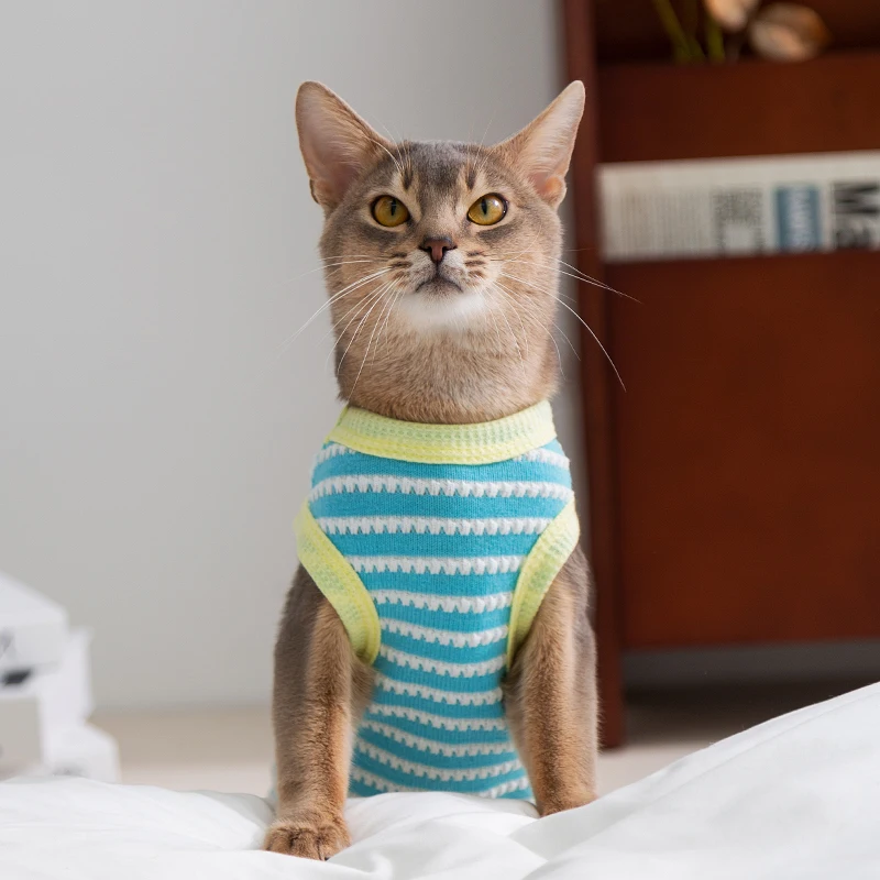 猫飼いが買ってよかったもの・悪かったもの正直に言う｜夏用防毛タンクトップの実測ガイド