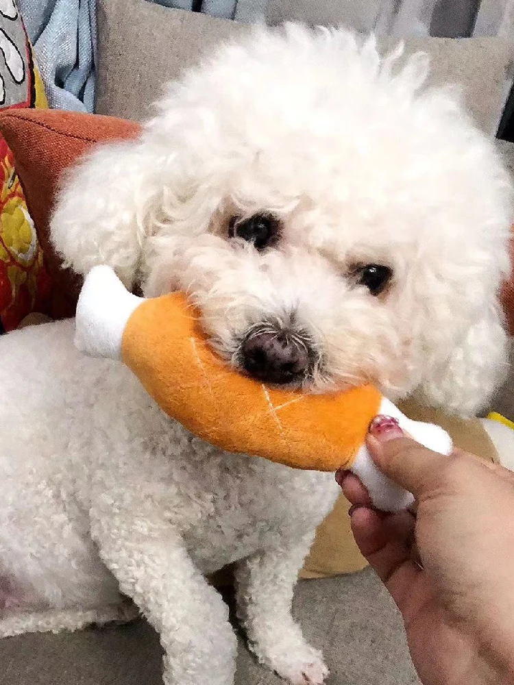 子供と暮らすとき、犬が噛むのは本当に安全なのか？