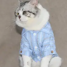 可愛いストライプのペットシャツ【コーギーやマルチーズに最適・春用・お出かけ用】（セットアップ対応）