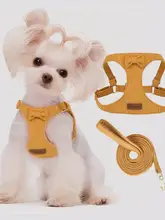 ペット用ハーネスリード【アウトドア用・小型犬・柔らかなベロア素材】（セットアップ対応）
