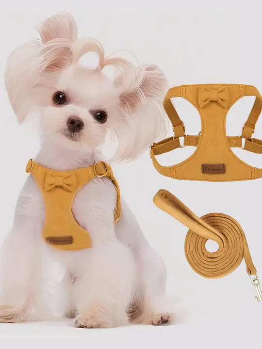 ペット用ハーネスリード【アウトドア用・小型犬・柔らかなベロア素材】（セットアップ対応）