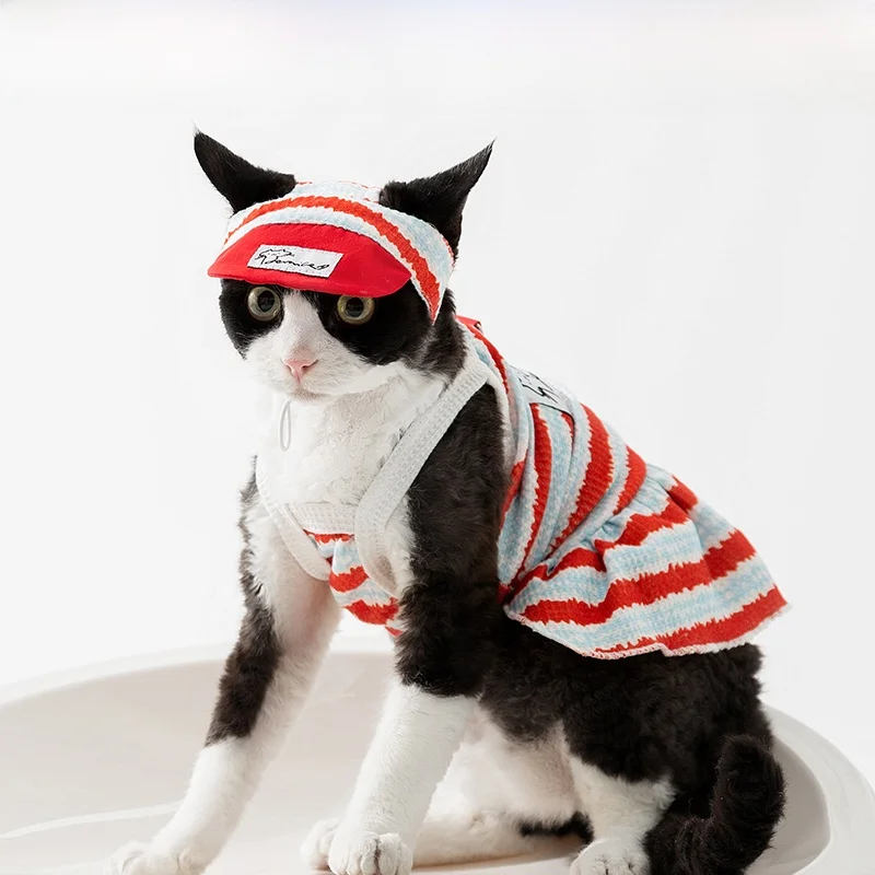 おしゃれキャットトゥルーズを選ぶべきタイミングは？