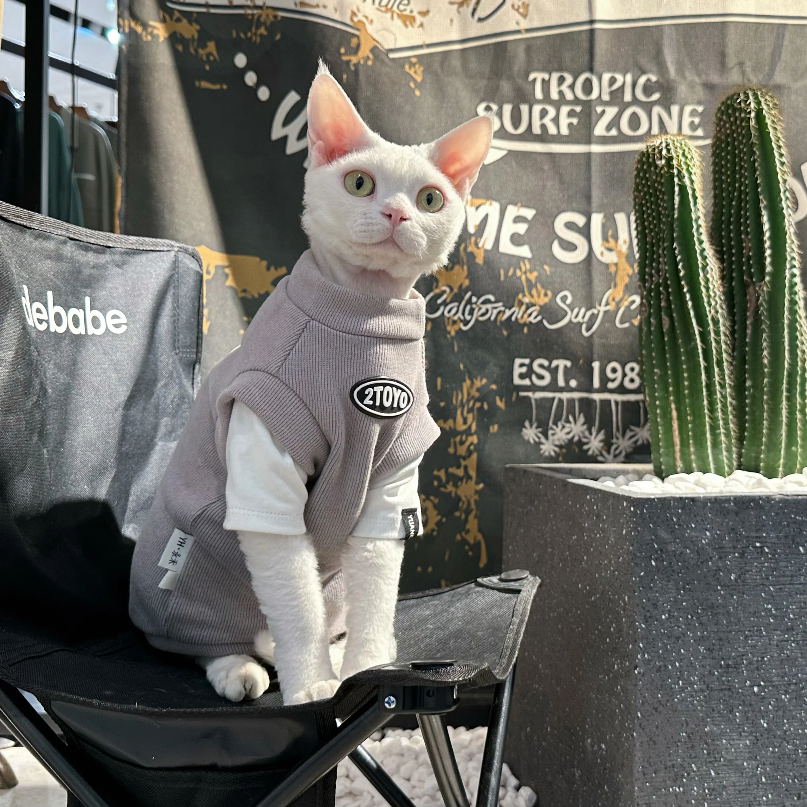 猫飼いが買ってよかったもの・悪かったもの正直に言う｜冬用加厚長袖シャツの実測ガイド