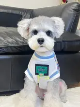 犬用ウェア【夏用・薄手・小型犬向け・タンクトップデザイン】