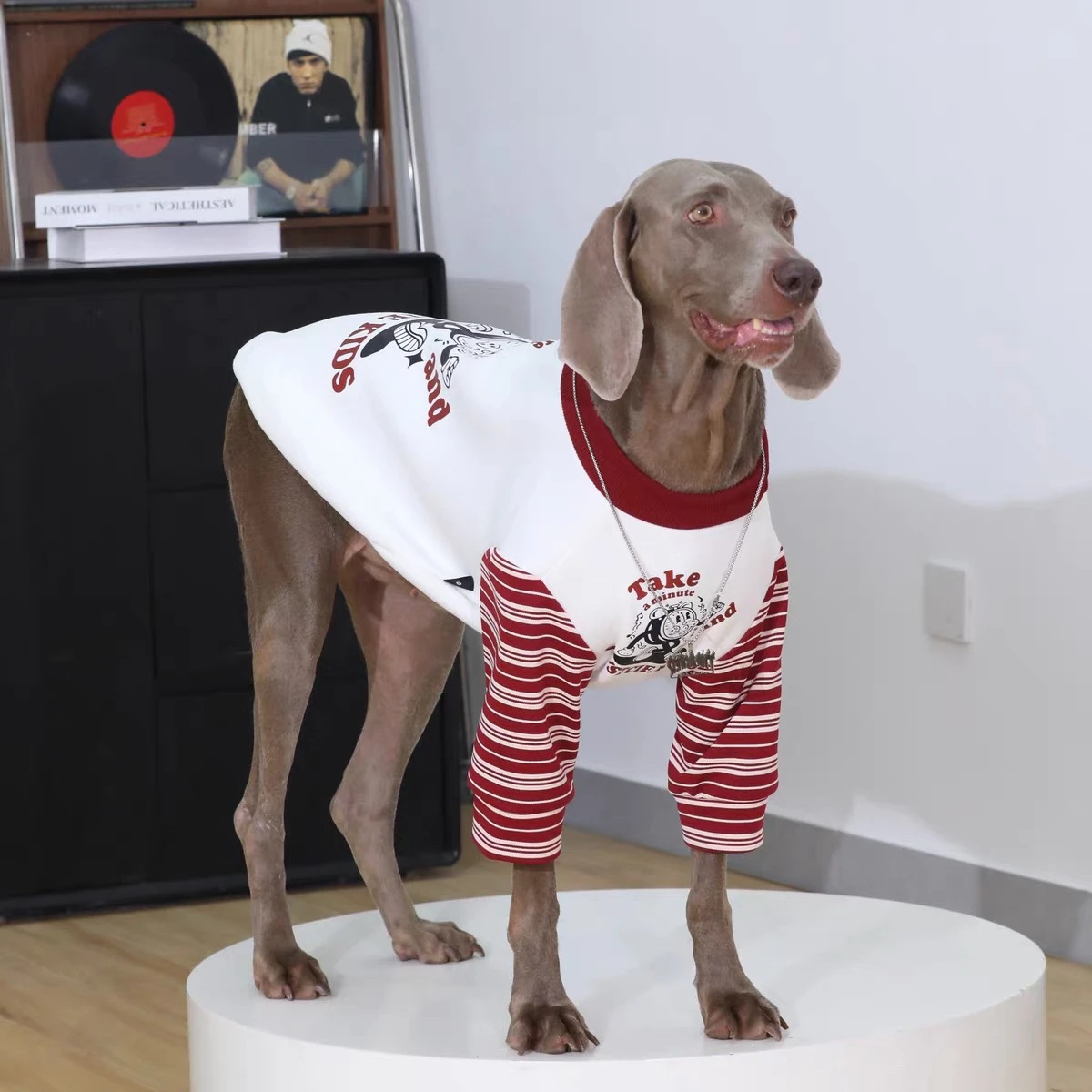 大型犬用秋冬セーター：ラブラドール・ゴールデン・ボーダーコリー向けの裏起毛デザイン