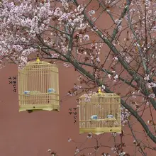 手作りの竹製鳥籠【中小型鳥用・フルセット】（セットアップ対応）