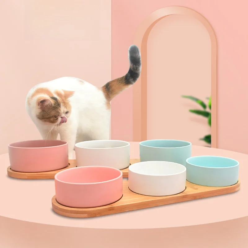 おうち時間を豊かにするおすすめアイテム｜ペット用陶器ボウルの選び方と魅力