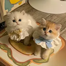猫用プリンセスカラー【レース・リボン付き・おしゃれなしっぽ用首輪】