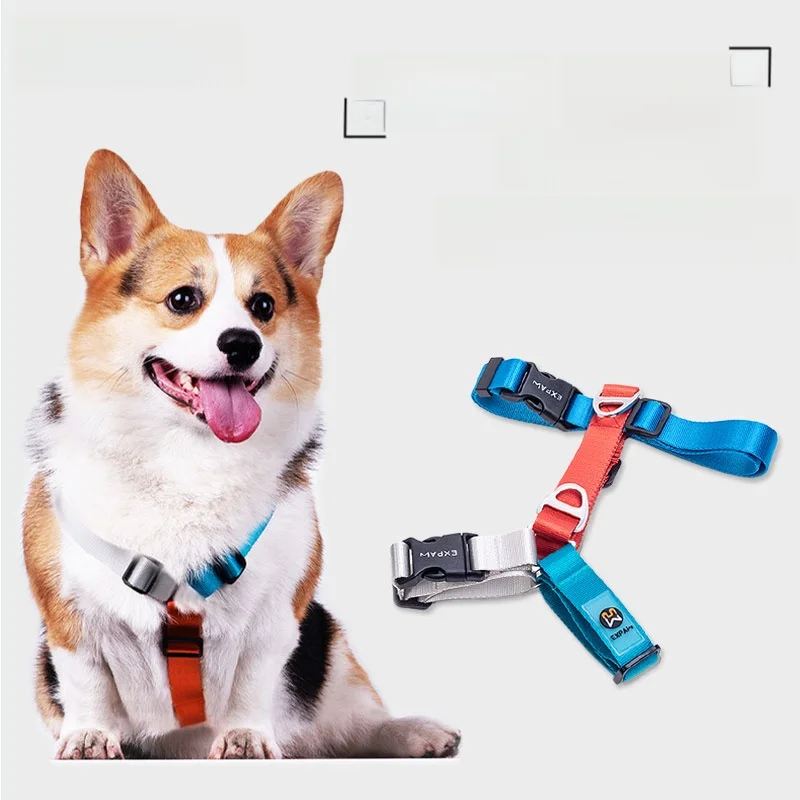 犬用ハーネスリードH型デザイン：コーギー用中小型犬対応の実用性と耐久性を検証