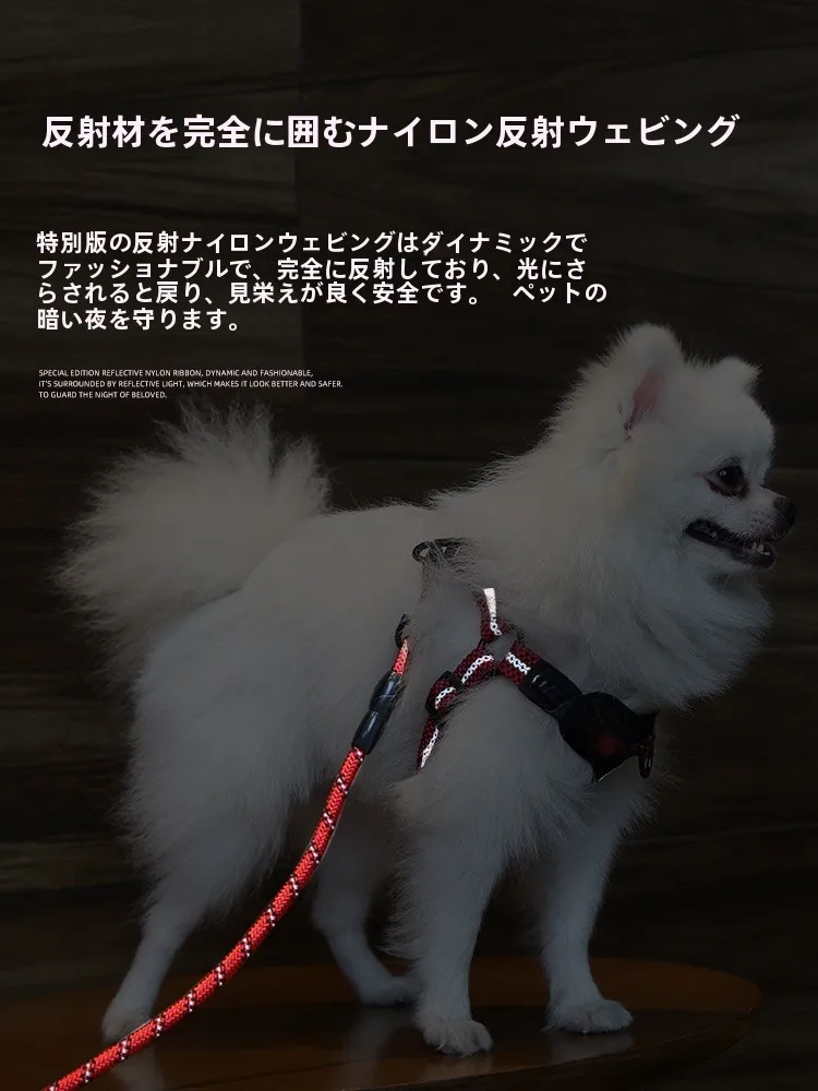 犬のお散歩グッズをコスパ良く揃える方法｜胸部ハーネスの実用性と選び方の完全ガイド