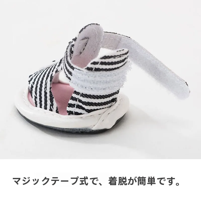 夏の犬にぴったりのスニーカーは、どう選ぶ？