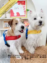 犬用ハーネス【胸部牽引・脱出防止・コーギー対応】
