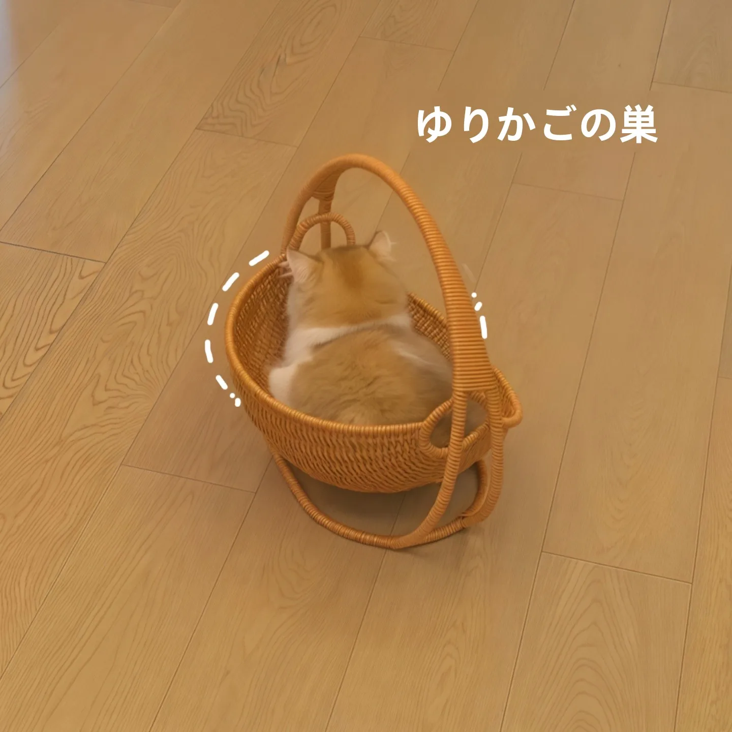 猫のためのベッドは、本当に「揺篮」がベストなの？