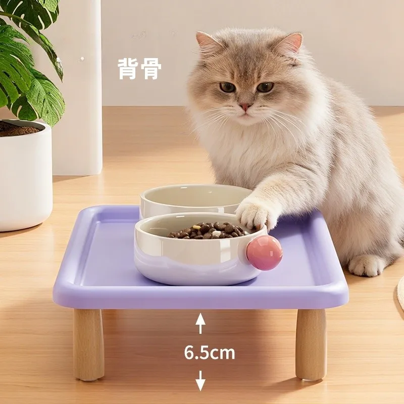 猫エサを買うときに迷うのは、本当に「食器」の選び方だよね？