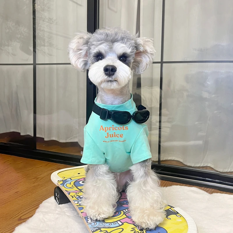 シュナウザーミックス用夏用薄手服：小型犬の快適な外出を実現