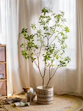 高級感あるリアルな緑の吊り植物【インテリア用・マズイキ・落地型】
（セットアップ対応）