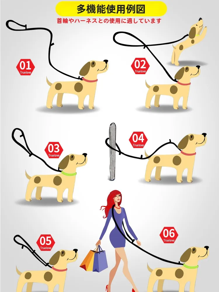 犬のお散歩グッズをコスパ良く揃える方法｜実測でわかる選び方とサイズのコツ