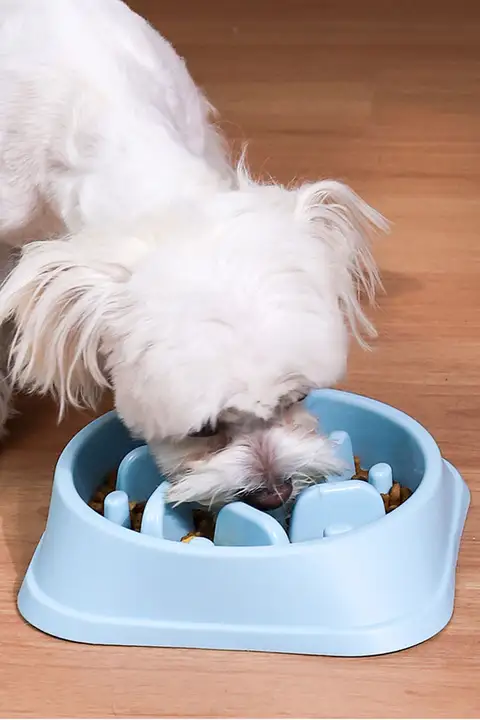 ペット用スローフードボウル【防倒設計・小型犬・猫用・ラブラドール対応】