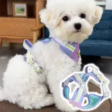 小型犬用 ペット用ハーネスリード【Bichon Frise・テディ・ボストンテリア対応・通気性あり】