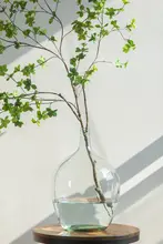 ガラス花瓶 挿花 用 水栽培 透明 シンプル 大きな腹