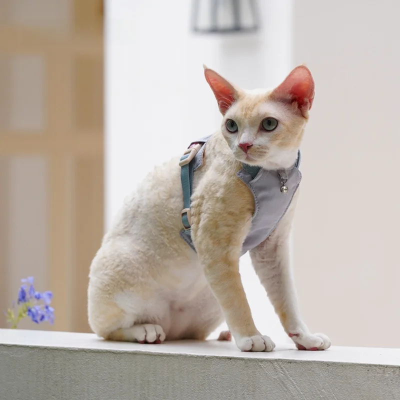 猫飼いが買ってよかったもの・悪かったもの正直に言う｜外出用ハーネスの選び方徹底解説