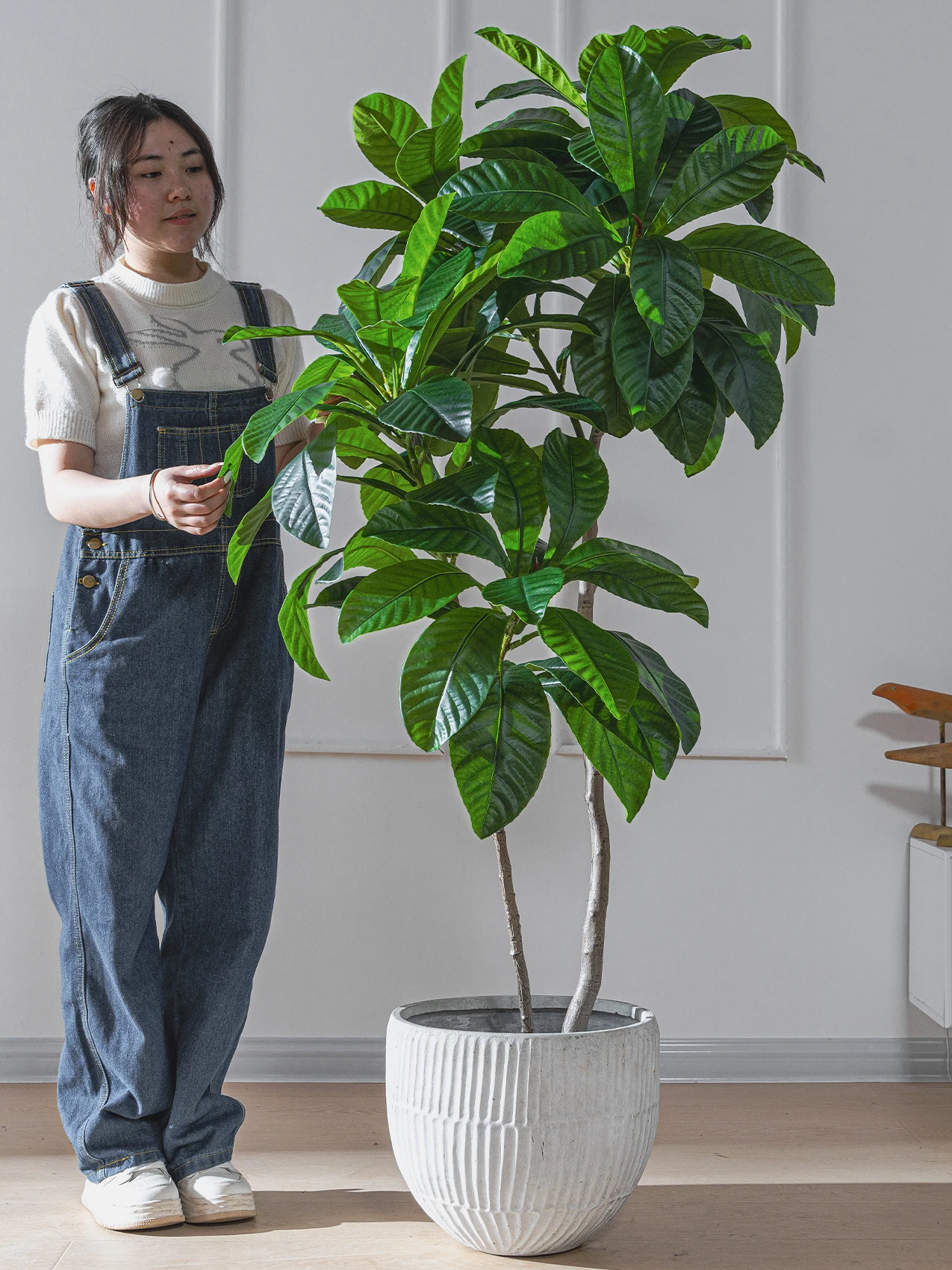 韓国インテリアを再現｜カフェ風部屋の作り方　大型ビワの木で空間をリラックスへ