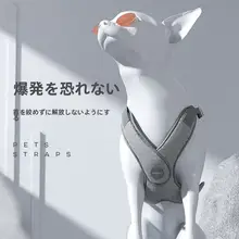 POPO ペット用 ハーネス型 犬リード【コーギー・中型犬・小型犬・テディ用】