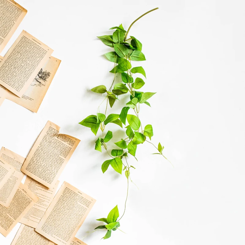 壁掛け装飾用フェイクつる植物：ウッドデッキに自然な目隠しを実現するインテリアソリューション