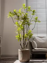 擬似植物 高級な人工樹 鉢植え 室内 リビング 装飾 グリーン