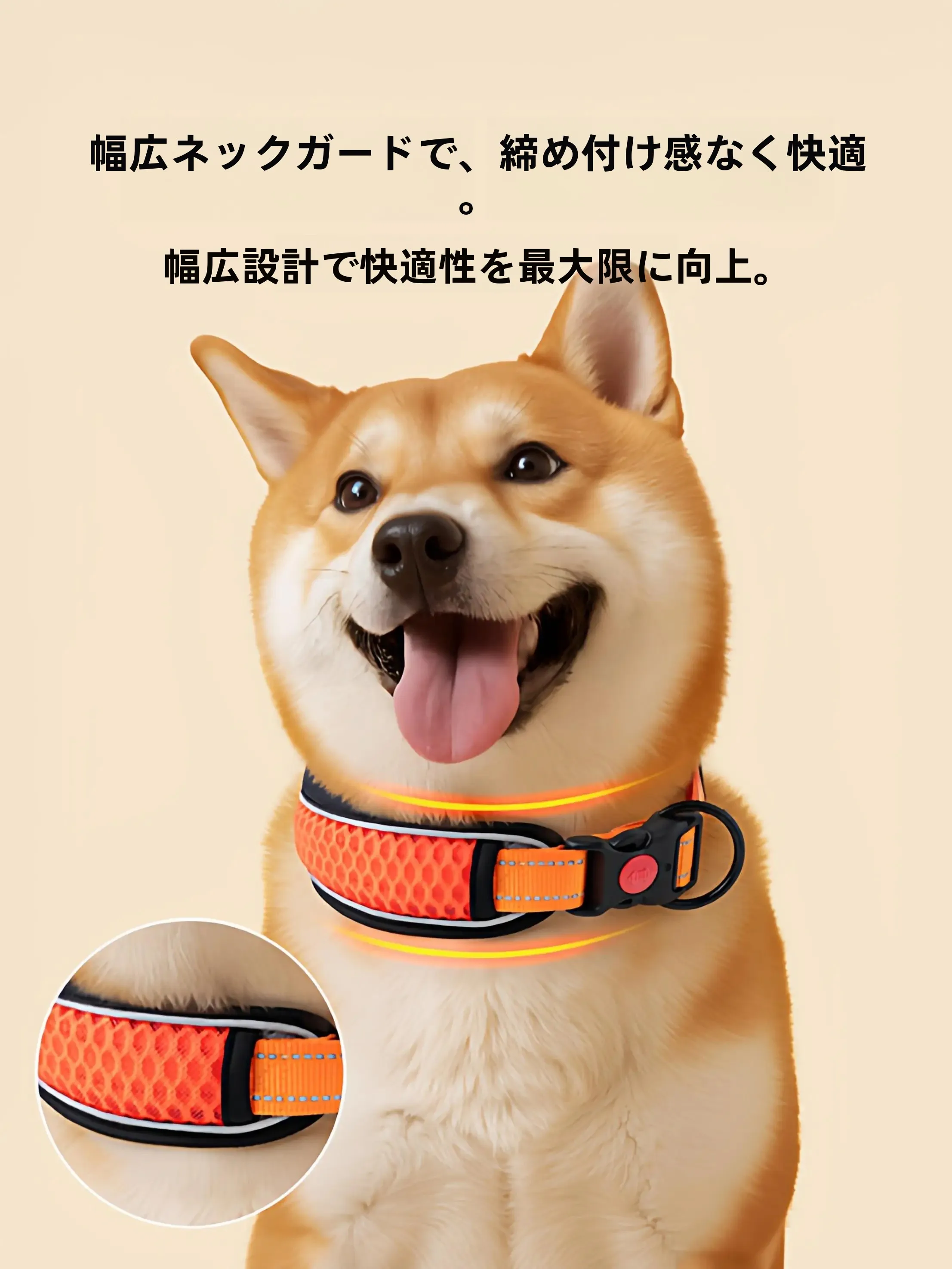 犬用首輪とリードセット：中型・小型犬向けの調整可能タイプ