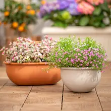 壁掛け吊り鉢【創造的な陶器風・厚手プラスチック製・観葉植物用】