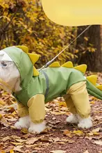 犬用雨具【防水・恐竜デザイン・四脚対応・大型犬用】