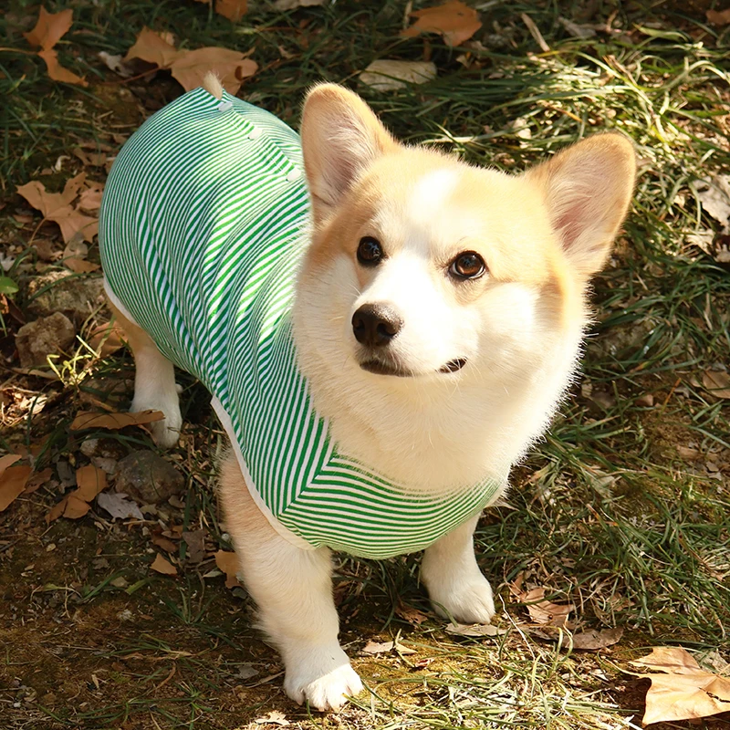 犬用手術後服【薄手・防舔・四脚式】（セットアップ対応）の使い方と選び方