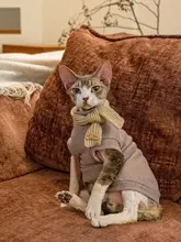GINGERAIN ニットベスト【暖かい・無毛猫用・秋冬向け】