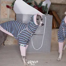 春夏用 撞色ストライプデザインの2足用衣装【保温・抗静電気・肌触りの良いフリース・犬用】（セットアップ対応）