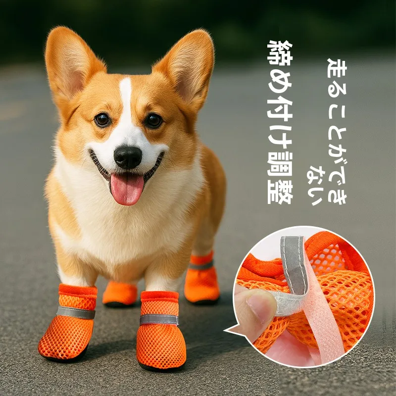 犬のお散歩グッズをコスパ良く揃える方法｜ソフト底シューズの選び方と実測ガイド