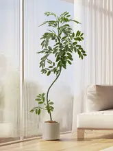 大きな鉢 植物 偽の木 リビング 高品質の偽緑植物 サンダルウッドの葉 ラグジュアリー