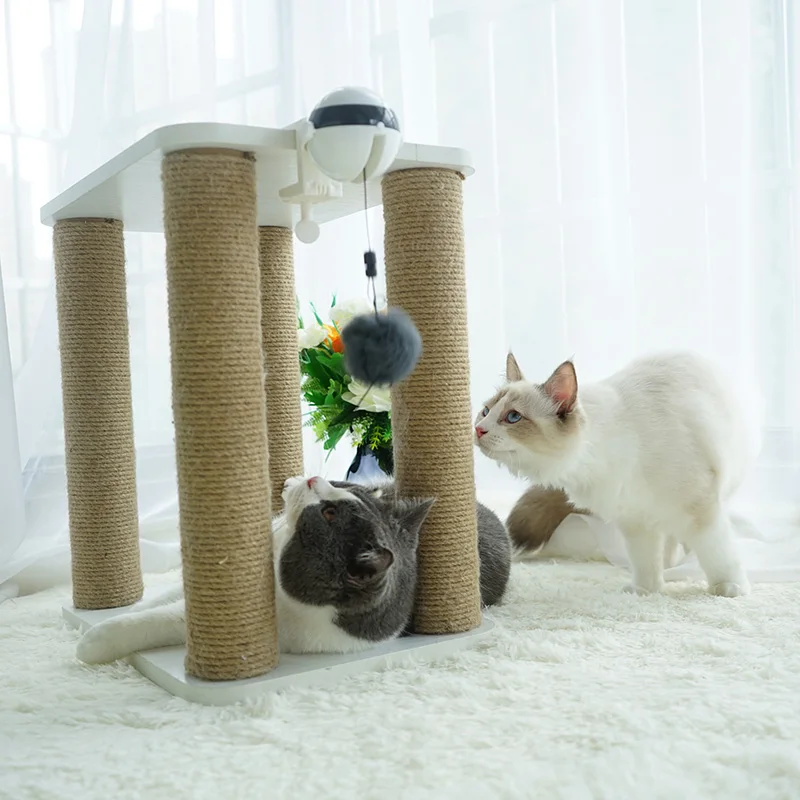 くすぐり機械を選ぶべきタイミングは？猫の反応を読むだけでわかる選び方