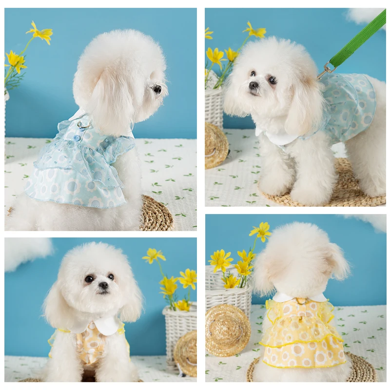 犬の散歩服装で夏をどう過ごす？レースフリルワンピースがもたらす、まるでセレブのようなひととき