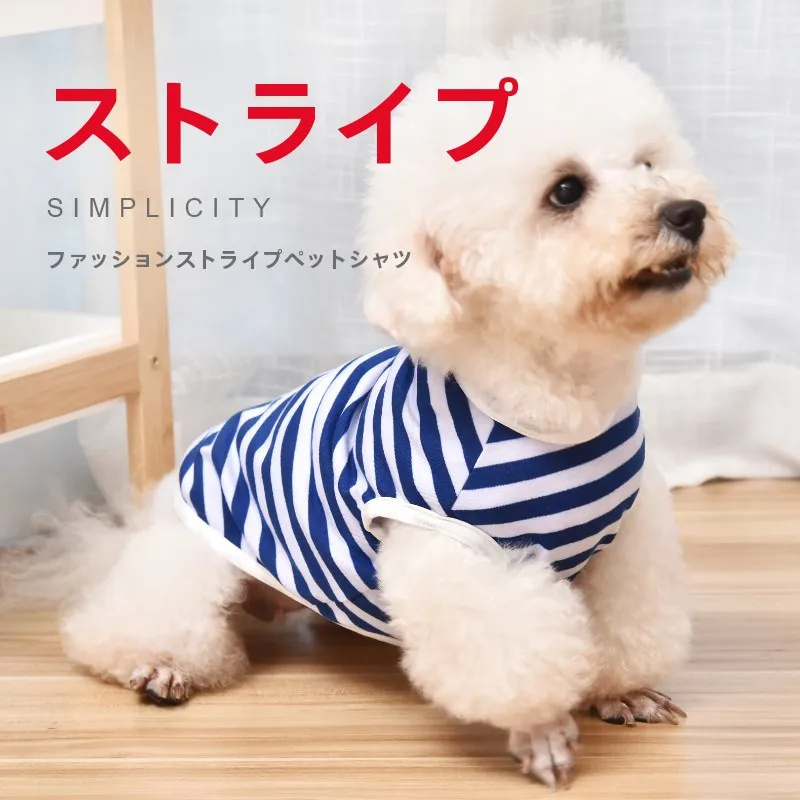 梅雨に備えて買うべき！春用ペットウェアの完全ガイド