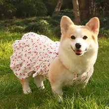 犬用公主ドレス【春夏用・コーギー・チワワ対応・可愛い透け感・軽量】（セットアップ対応）