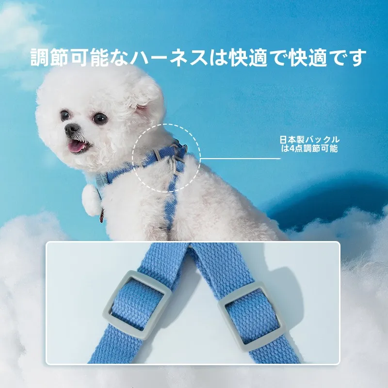 犬のお散歩グッズをコスパ良く揃える方法｜ハーネス付きリードの実際の使い勝手徹底解説