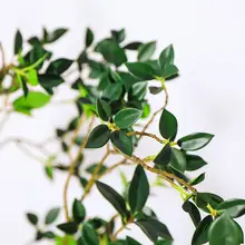 ツバキ 大型植物 装飾用鉢植え 室内 リビング 偽の観葉植物 インテリア