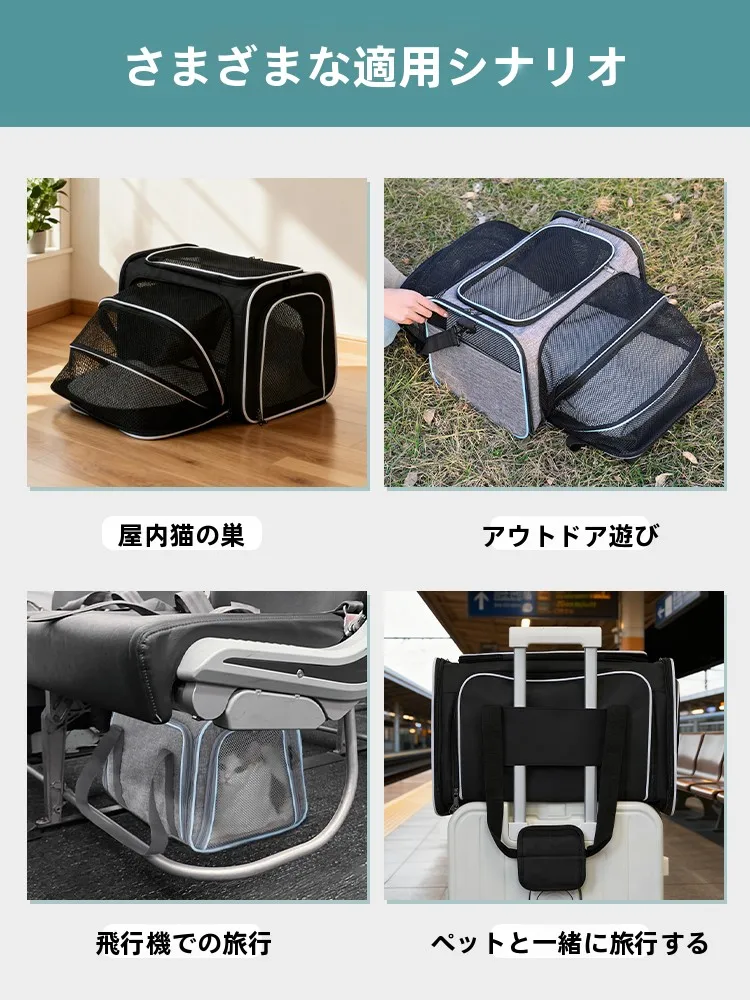 犬と旅行をもっと楽しくするための「通気性キャリーバッグ」は、どう選ぶ？