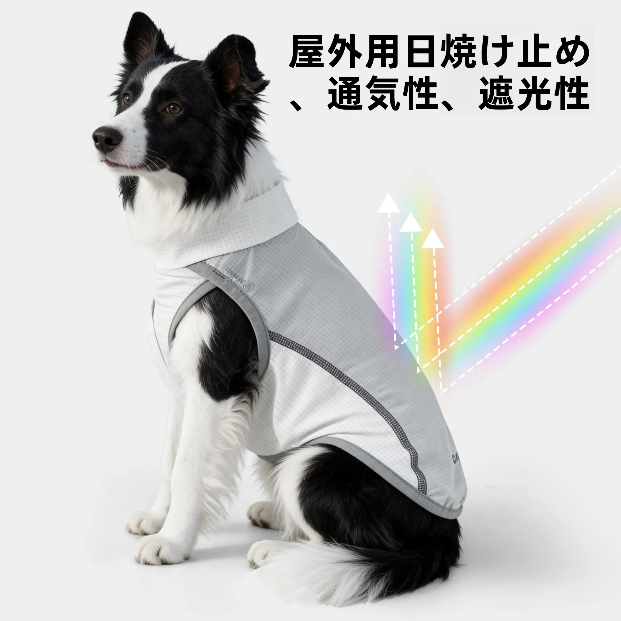 犬用軽量UVカット衣服【夏用・涼感・大型犬対応】の実際の性能と使い方
