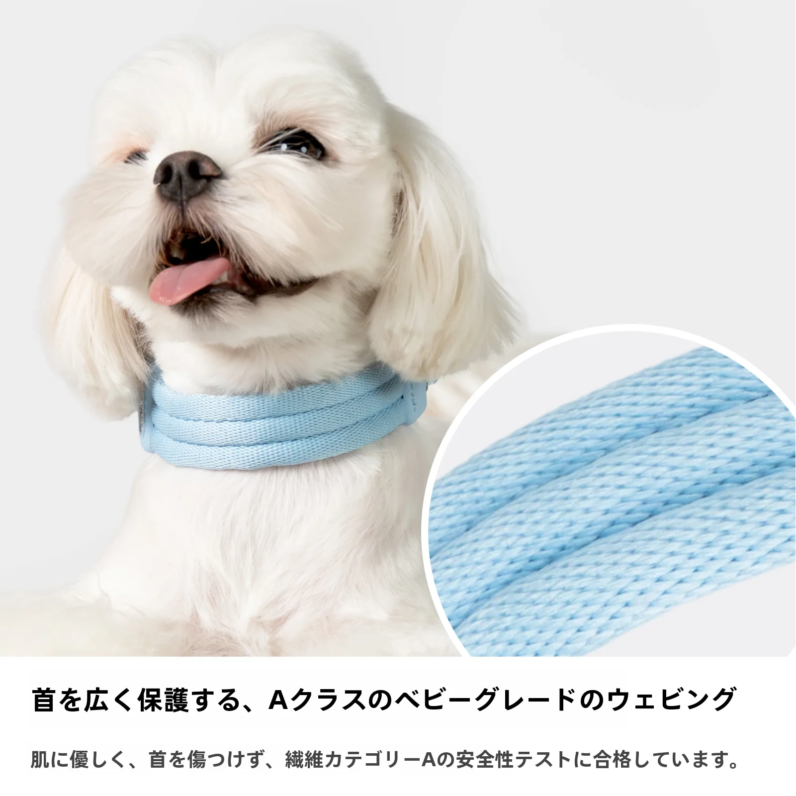 小型犬用ハーネス ブランド BuddyArmor の実用性とスペック解析