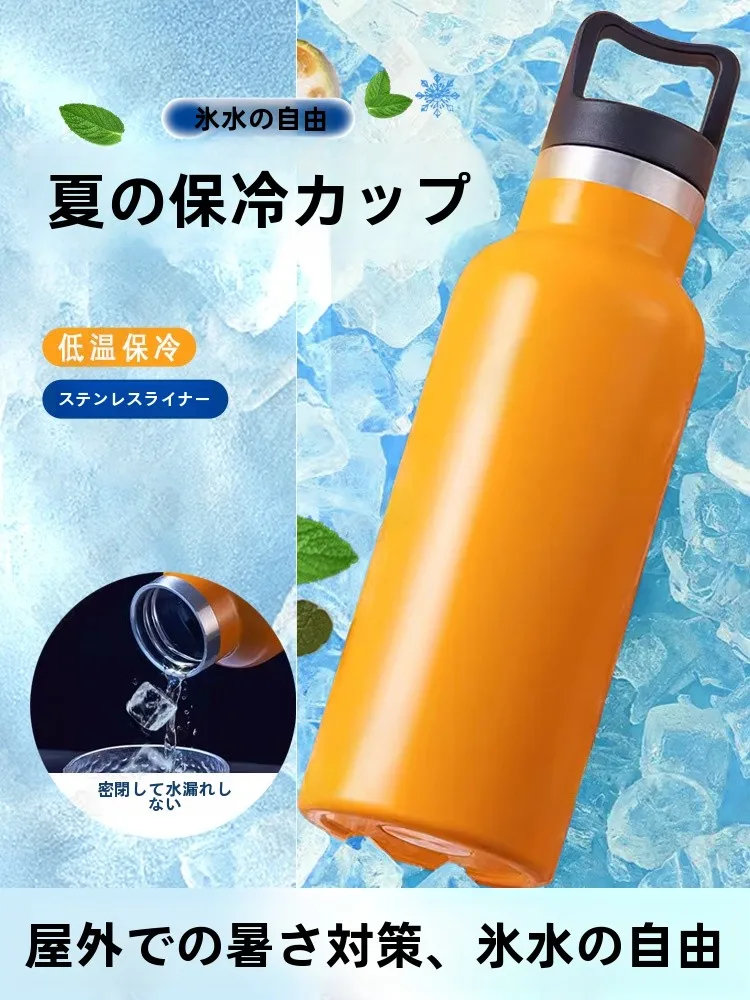 キャンプ道具を節約調達｜実際に使ってみた結果　完全ガイド