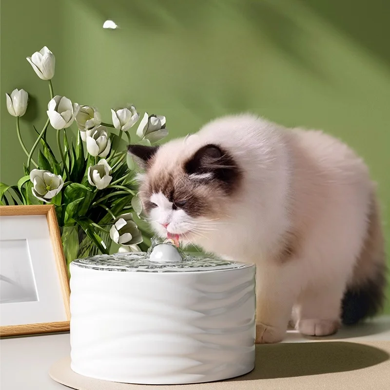 猫用自動給水器を選ぶときに迷うのは、本当に「水の質」なのか？
